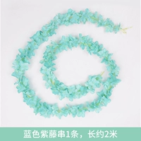 Синяя глицерия строка 1