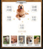 Thức ăn cho chó loại chung 2.5kg con chó nhỏ con chó lớn con chó lớn Teddy Jinmaosamoye toàn bộ con chó con chó thức ăn chính 5 kg mua thức ăn cho chó Chó Staples