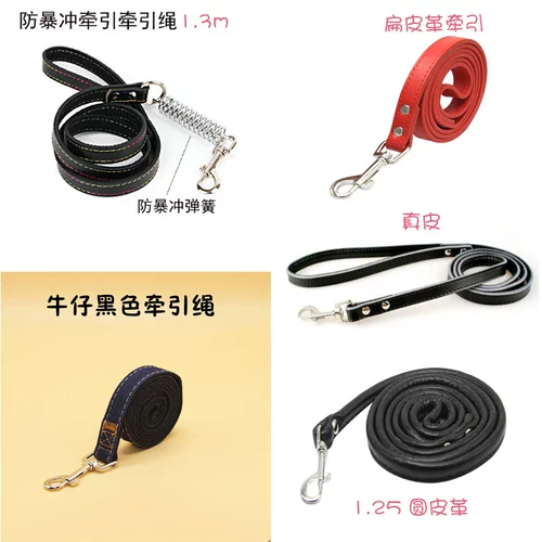 Ходячая собака веревка собака питомец