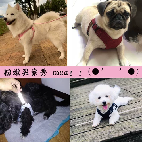 Светоотражающий жилет с поводком, защитная цепочка, подтяжки