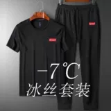 Шелковый спортивный костюм, комплект, футболка, короткий рукав, большой размер