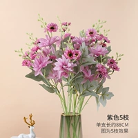 Da lihua Purple 5 ветвей