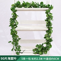 90 кусочков листьев бегонии лист 1 упаковка [5 упаковка]