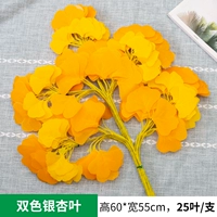 1 Два -коррорные листья гинкго