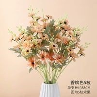 5 филиалов великого цветочного шампанского