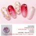 Manicure Set Tool Trang Sức Hoàn Chỉnh Sequins Shell Mảnh Abalone Shell Giấy Đồ Trang Sức Cô Dâu Nail Sticker máy mài móng tay Công cụ Nail