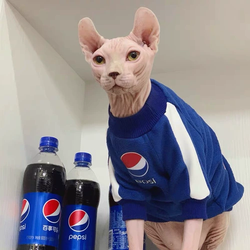 Одежда для домашних кошек Весна и осенняя одежда Противоизлевая воздушная суперструктура, бархатный теплый маленький и средний свитер для собак