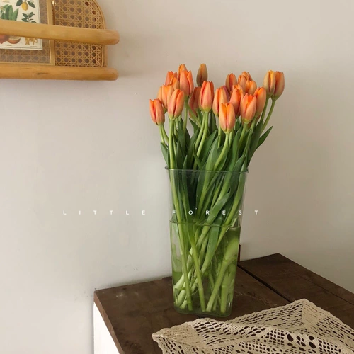 Цветочный ствол Yayli Barrel Shop Special Word Слово пластик глубоководной бочонок французский французский цветок
