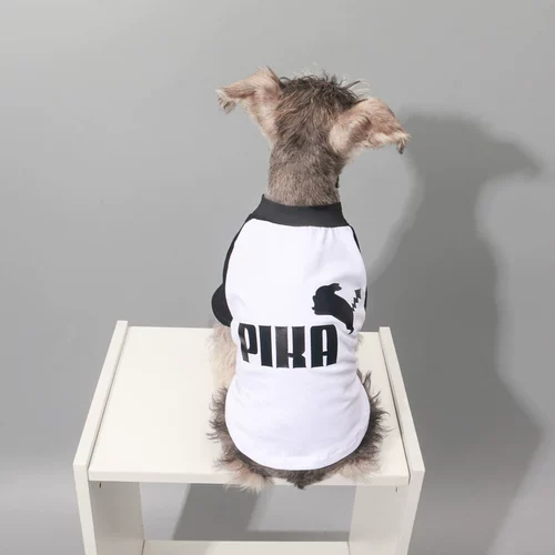 Кошачья одежда летняя тонкая домашняя одежда для одежды для собак котенок котенок антидобы