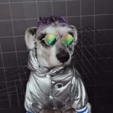 Кошачья одежда осень и зимняя одежда для кошки теплую собаку