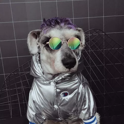 Кошачья одежда осень и зимняя одежда для кошки теплую собаку