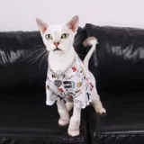 Кошачья одежда летняя для волос с домашней одеждой собака маленькая собака тонкая одежда