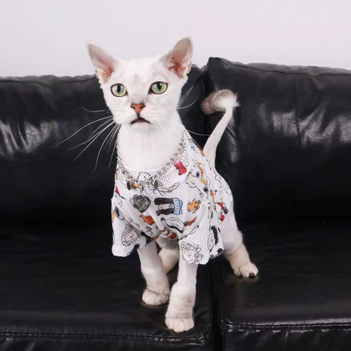 Кошачья одежда летняя для волос с домашней одеждой собака маленькая собака тонкая одежда