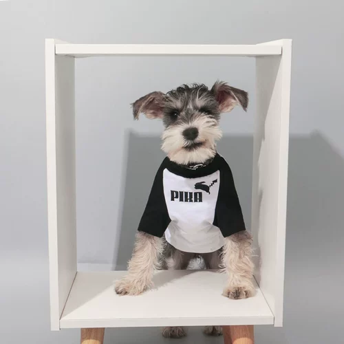 Кошачья одежда летняя тонкая домашняя одежда для одежды для собак котенок котенок антидобы