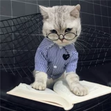 Осенняя тонкая милая рубашка, популярно в интернете