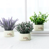 Моделирование цветов фальшивые цветы Человек Tianxing Bonsai Home Coremer