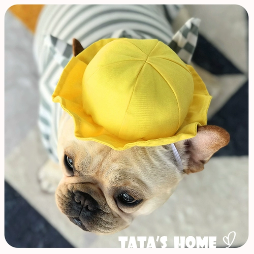Собака с питомцами маленькая желтая шляпа милая японская детская школа школьная шапка борьба Шиба Ину Сурунорбаги Тедди