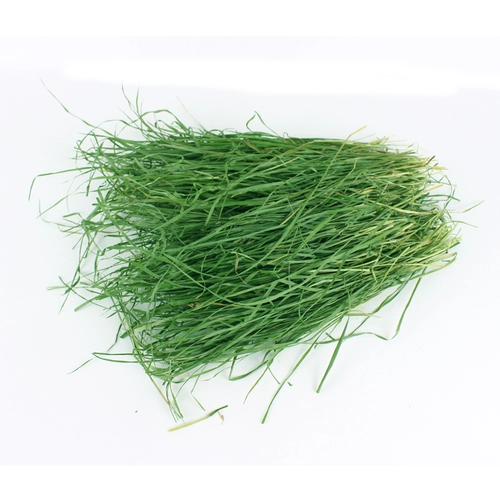 Новый Cao nan tihrda кролик -кролик totoro totoro голландская свинья Tyzi Moses Grass Mao 1 кг