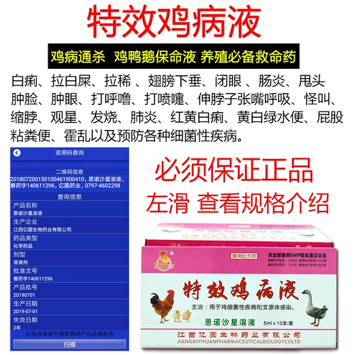 Цыпленок Цыпленок Цыпленка, убивая болезнь болезни курицы, болезнь ветеринарной медицины не может умереть, лекарство от курицы и медицина птицы профилактики болезни курицы