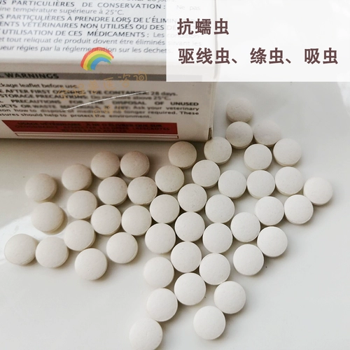 Паразитические паразиты в теле