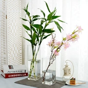 Bình thủy tinh hình chữ nhật tươi trang trí bình hoa thủy tiên thẳng máy tính để bàn ins nhà đơn giản hoa khô xanh - Vase / Bồn hoa & Kệ