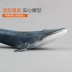 Mô phỏng cá voi lớn Động vật biển Cá voi xanh Mô hình Đồ chơi Nhựa Trang trí rắn Trẻ em Nam Câu chuyện dưới biển - Đồ chơi gia đình