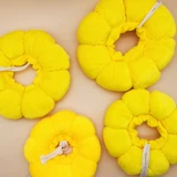 Кошка Элизабет Круг Анти -Стилочный Симпатичный набор Симпатичный подсолнечный стыд с позором кошка