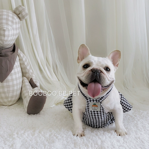 FA DOUBIRT BIGING FIGHING SPRING и Осенний человек засадите роздельный узор собаки собак Bull Burry Bagu