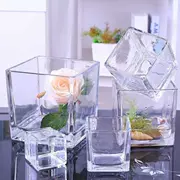 Hoa thủy canh chậu thủy tinh mặt sàn nước trong nhà hoa nghệ thuật mới sáng tạo phòng khách bình hoa - Vase / Bồn hoa & Kệ