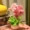 Mô phỏng hoa hồng nhỏ phòng khách bàn hoa đặt giả hoa hoa trang trí nhà hoa trang trí chậu trang trí - Hoa nhân tạo / Cây / Trái cây