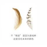 Meowcard Основные цветные перья дразнить кошачьи палочки дезинфекция перья