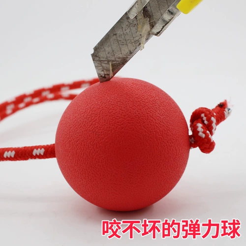 Собачья игрушка-укусочная резиновая резиновая сплошная средняя большая большая собака