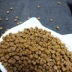 49 Pemasite mèo thực phẩm trẻ thức ăn cho mèo 500 gam thực phẩm tự nhiên mèo sữa bánh vẻ đẹp tóc mèo thực phẩm màu xanh mèo cộng với Philippines staple thực phẩm thức ăn hạt cho mèo Cat Staples