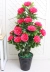 Cây mô phỏng chậu hoa lan trang trí phòng khách sàn hoa giả chống hoa trang trí nhà Du Fu trong nhà hoa mẫu đơn lớn - Hoa nhân tạo / Cây / Trái cây Hoa nhân tạo / Cây / Trái cây