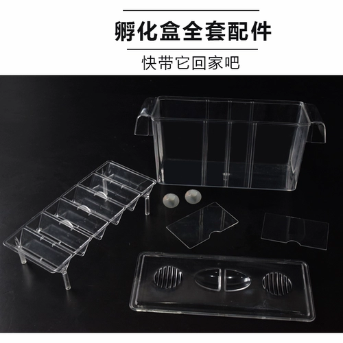 Zhenlin Aquarius, Peacock Fishfeng Tail Mary Moon Loon Light Starrow Box Incubation Box, маленькая ящик для изоляции рыбы