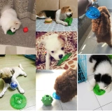 Caitec American Parallel Pet Toy Food Frat ratplashed Зубы зубы, подходящие для щенка с видео
