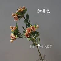 【Coffee jree】 Розовый цвет