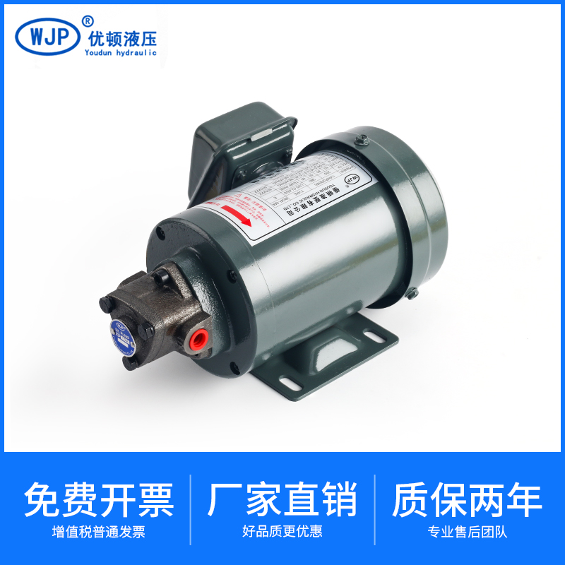 Nhà máy tùy chỉnh 
            bán hàng trực tiếp bơm dầu toàn dây đồng Động cơ Pu kết hợp bôi trơn bánh răng thủy lực Máy bơm gang tuần hoàn hình tam giác mua bơm thủy lực cấu tạo bơm piston tác dụng đơn