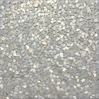 Пресноводная белая раковина натуральная раковина мозаичная плит