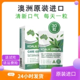 Коаладуропы, первое поколение эвкалипта мулука медовое масло чайного дерева твердый сахар в коаладу