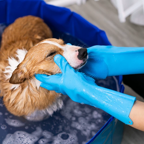 ПЭТ -ванные перчатки Curchia wath artifact firewood teddy dog ​​щетка для ванны, чтобы предотвратить массаж прикуса