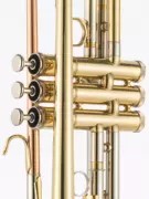 Jinbao chính thức chuyên nghiệp nhạc cụ kèn chuyên nghiệp Kèn chuyên nghiệp B điều chỉnh sơn vàng JBTR-601 nhạc cụ nhỏ - Nhạc cụ phương Tây
