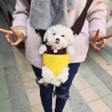 Сумка для питомца рюкзак кошачья сумка портативная собака назад