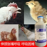 Hu Duqing Cicken Duck Graph Pactes и Snores Monster под названием Bronchial Coun