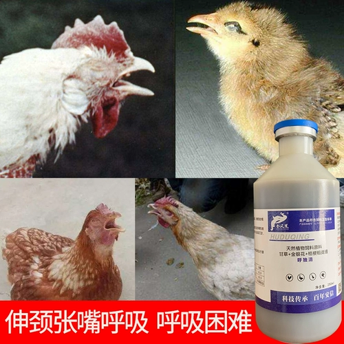 Hu Duqing Cicken Duck Graph Pactes и Snores Monster под названием Bronchial Coun