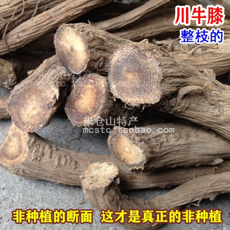 Sichuan Achyranthes achyranthes achyranthes sichuan niu xi сладкий крупный рогатый скот 100g non -Huaizan niu -Knee achyranthes huai hui kee