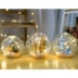 Crystal Ball Light Hướng dẫn DIY Micro Cảnh Hoàng tử bé Sen Deer Long Cat Lovers Sinh nhật Giáng sinh Quà tặng Đêm Ánh sáng Trang trí - Trang trí nội thất Trang trí nội thất