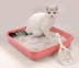 Mèo Le Shi bán kín mèo nhà vệ sinh mèo một lớp lớn nhà vệ sinh nữ mang thai hàng đầu tại nhà vệ sinh Tân Cương - Cat / Dog Beauty & Cleaning Supplies
