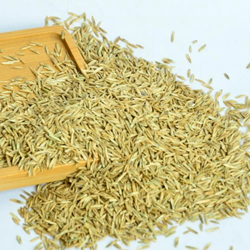 Семена Фравао, ржаная трава сладкая сорго