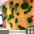 Mô phỏng nhà máy tường cây xanh tường cỏ trong nhà trang trí tường cỏ xanh nhựa giả hoa hình nền tường - Hoa nhân tạo / Cây / Trái cây Hoa nhân tạo / Cây / Trái cây